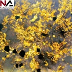 Tranh đá thông tầng xuyên sáng TDTT09