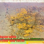 Tranh đá thông tầng xuyên sáng TDTT-VT01